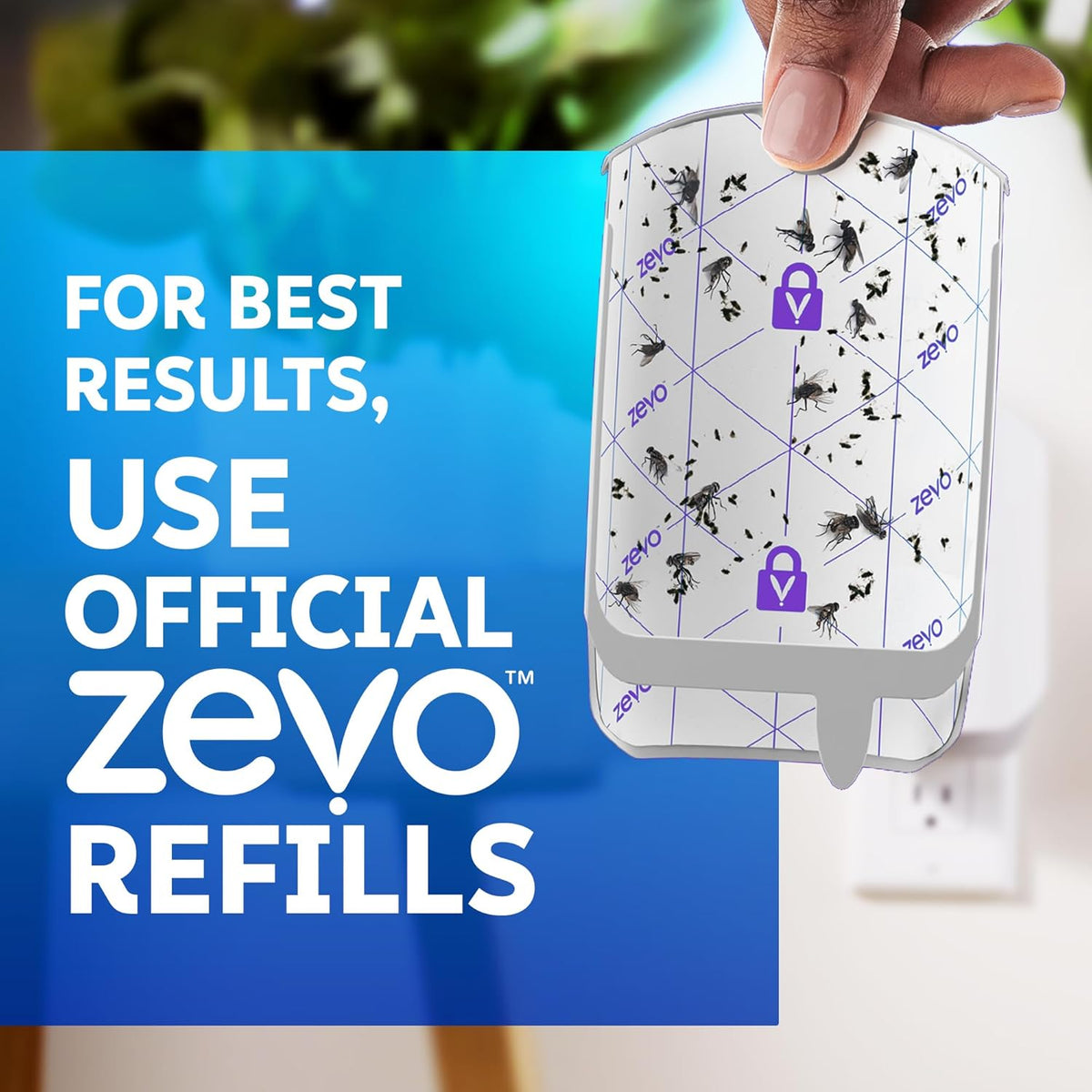 Zevo insect trap capturing fruit flies