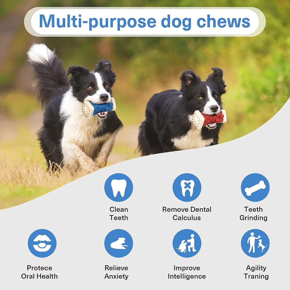 AOZOOM dental chew toy for large and small dogs