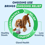 STRELLALAB pumpkin and psyllium husk supplement to relieve canine floor dragging