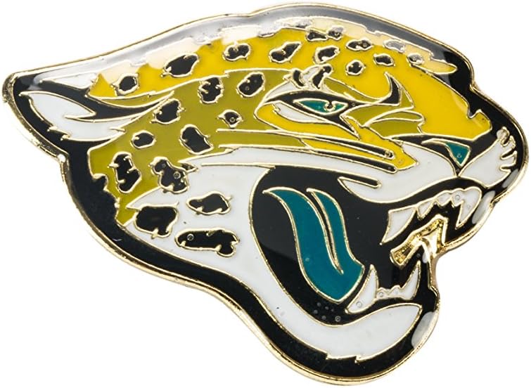 aminco NFL unisex-adult Logo Pin - Image 11
