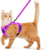 Cat Harness and Leash for Walking Escape Proof Soft Adjustable Cat Leash Breathable Comfortable Vest Easy to Wear Kitten Harness for Outdoor Travel (Black, S (7-12lb)) - Image 13