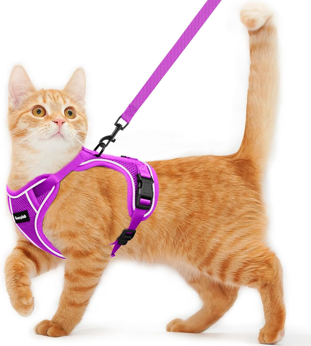 Cat Harness and Leash for Walking Escape Proof Soft Adjustable Cat Leash Breathable Comfortable Vest Easy to Wear Kitten Harness for Outdoor Travel (Black, S (7-12lb)) - Image 13
