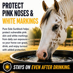 Pure Sole horse sunscreen stick with cap off