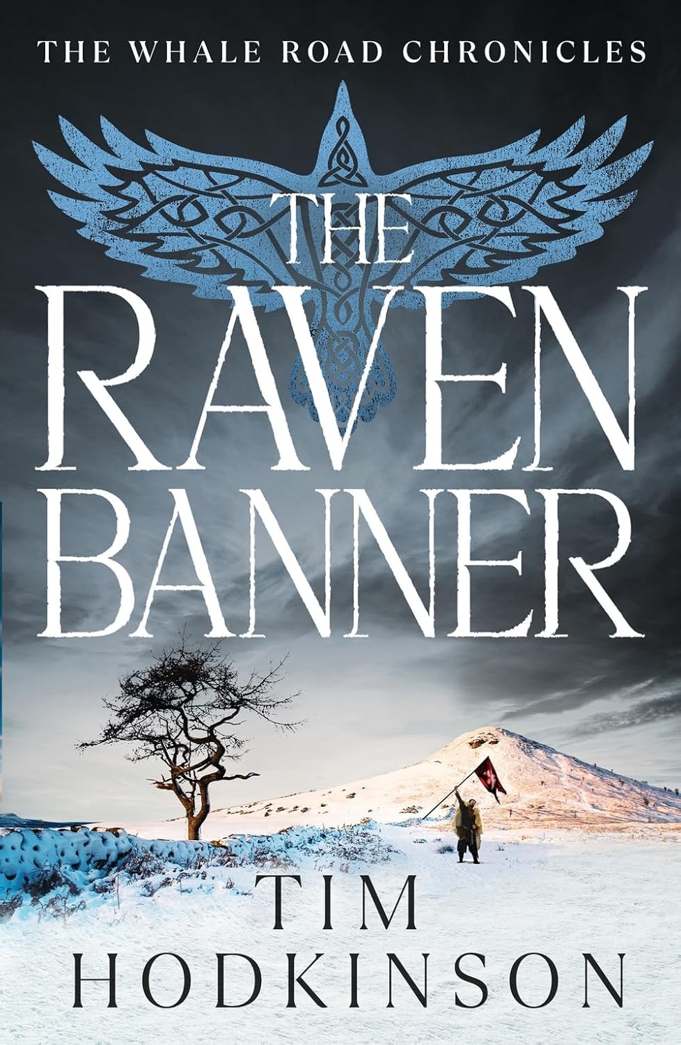 Tim Hodkinson The Raven Banner front book cover featuring historical Viking quest artwork.