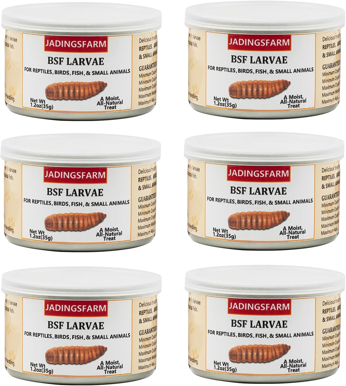 Jadingsfarm healthy insect snacks six pack set open view
