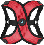 Gooby Comfort X Step in Lite Dog Harness - Choke Free, Escape Free with Light Breathable Mesh - Step in Dog Harness for Small and Medium Dogs - Quick Release Buckle, Metal D-Rings - Purple, Medium - Image 9