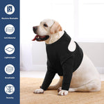 IDOMIK post surgery dog body suit adjustable magic tapes