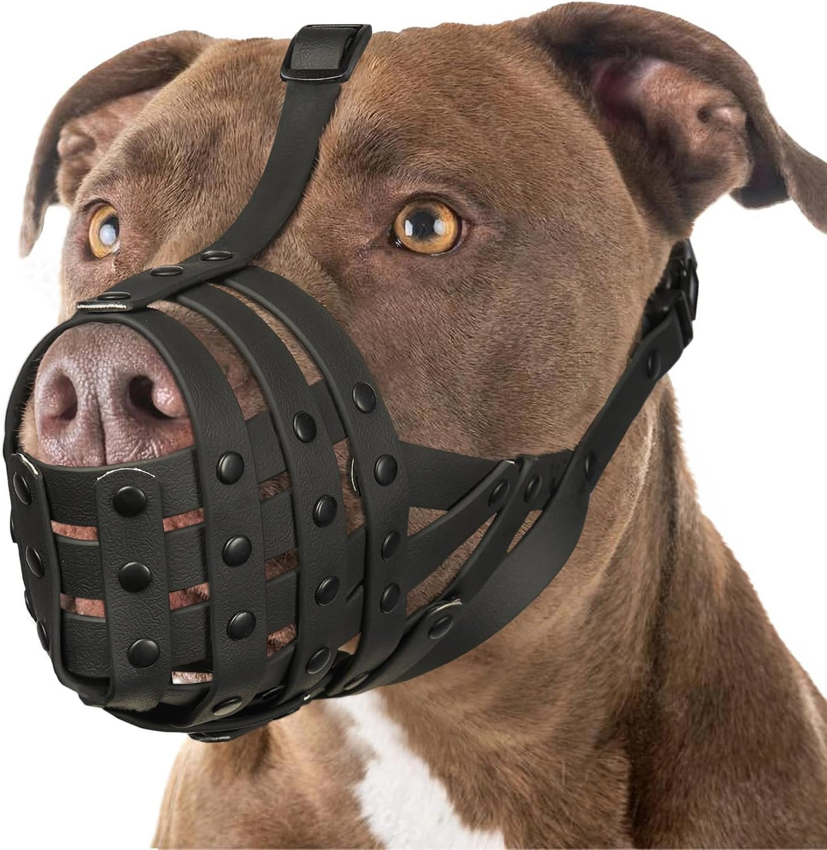 Mayerzon Pitbull basket muzzle front view for large dogs