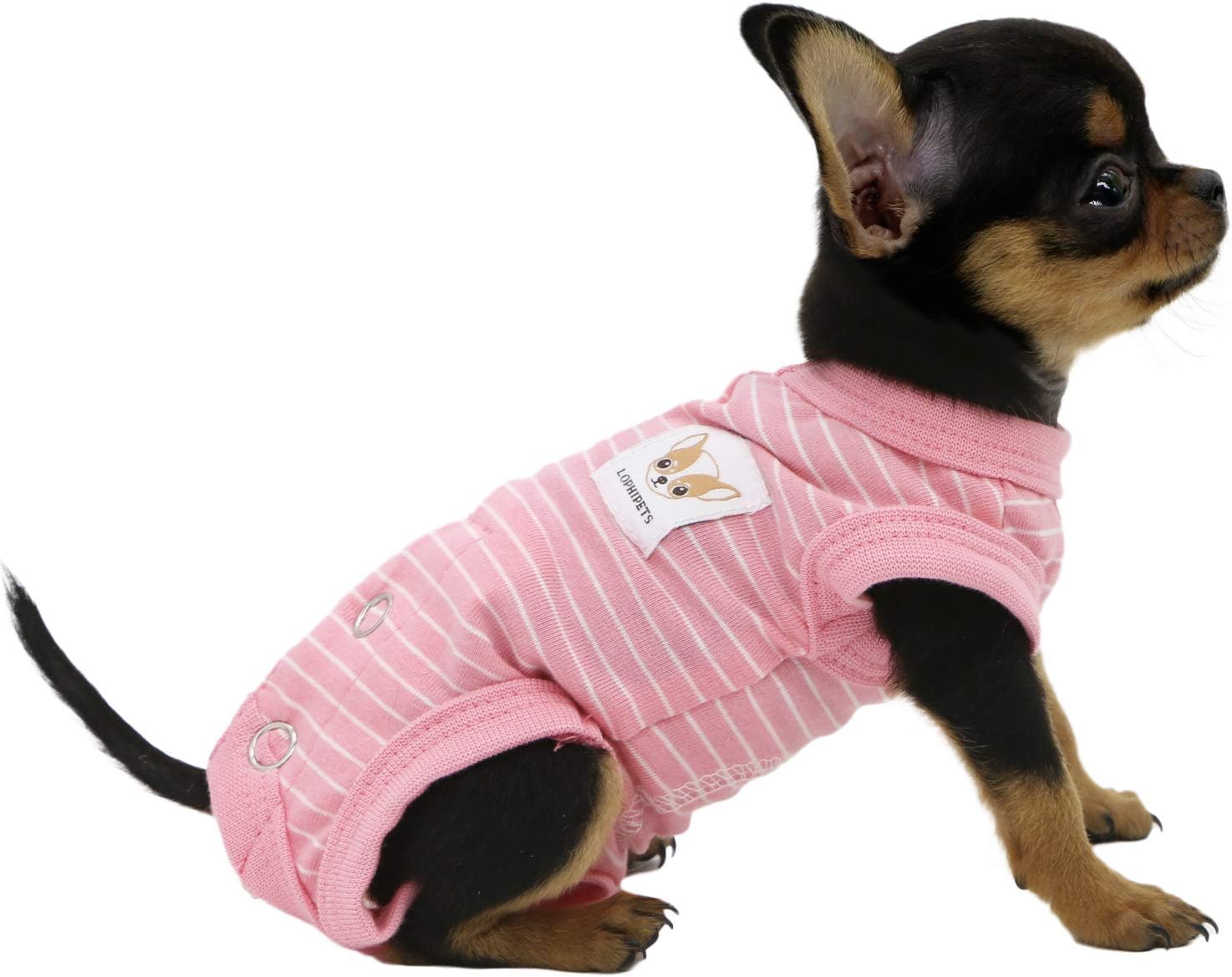 LOPHIPETS girl dog pajamas pink stripes front view apparel
