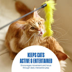 Durable interactive pet toys for hunting and exercise close up view
