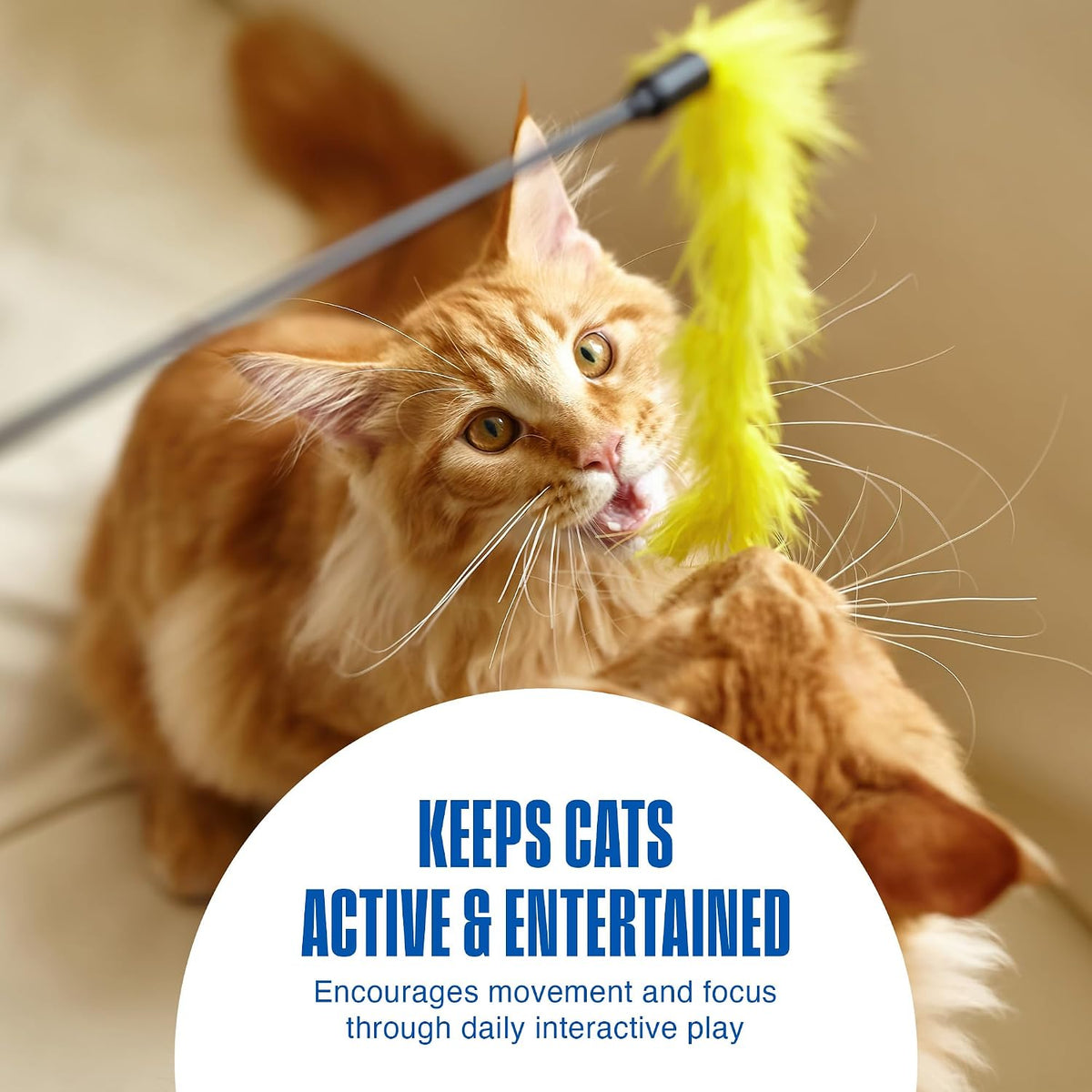 Durable interactive pet toys for hunting and exercise close up view