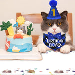 Cat birthday outfit components laid out flat