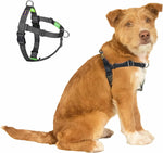 Freedom No Pull Dog Harness, Designed for Hound Dog Train, Easy Walk with 2 Stainless D-Rings, Sewn-in Instructions Tags for Easy Use, for Large Dogs Weight 60-80 lbs (Purple, L) - Image 13