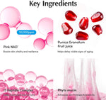 EQQUALBERRY NAD+ Peptide Boosting Cream application demonstration on neck and face