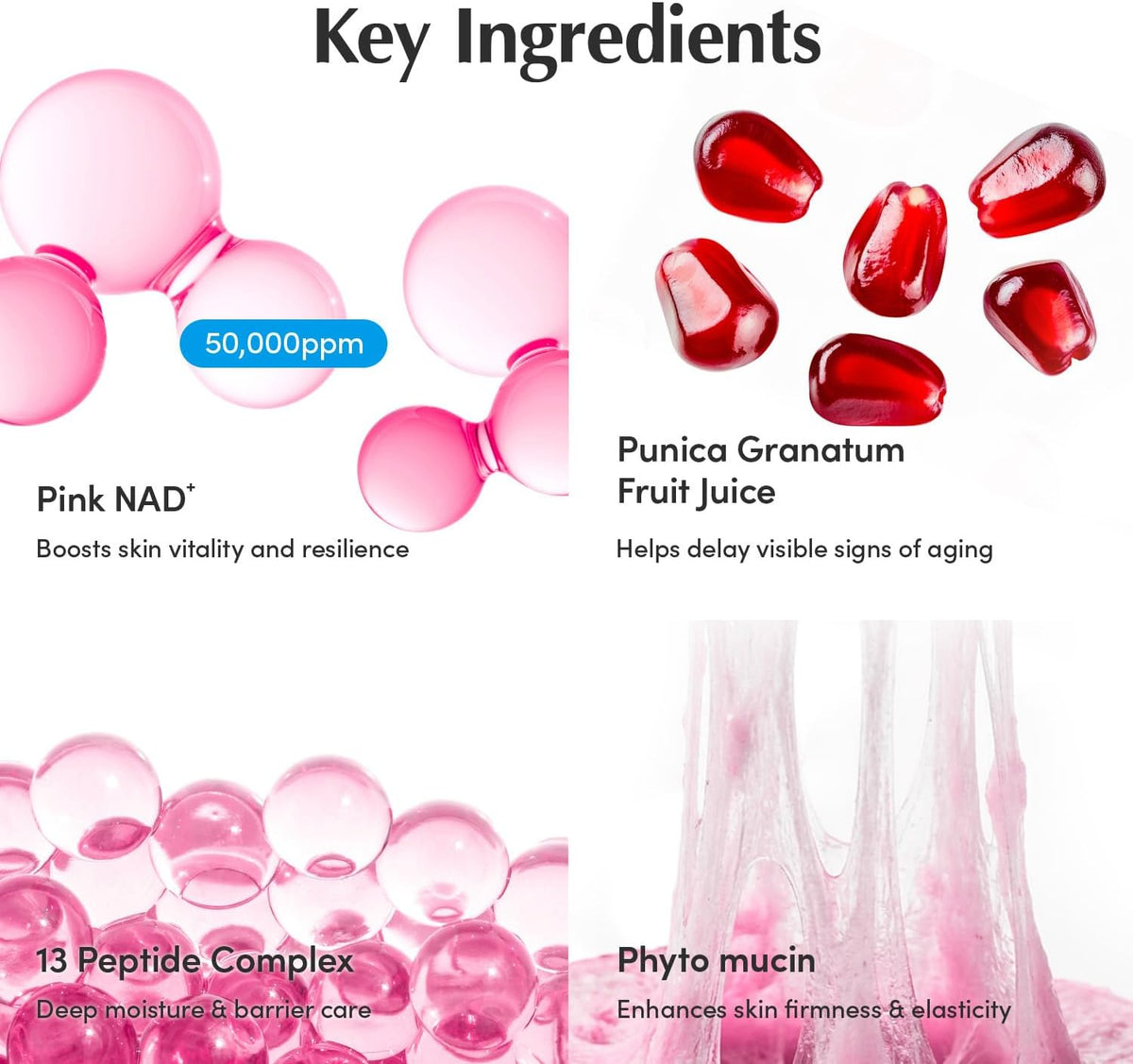 EQQUALBERRY NAD+ Peptide Boosting Cream application demonstration on neck and face
