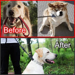CBBPET silver large training collar laid flat showing how to add or remove interlocking metal links
