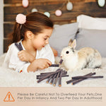 Premium apple wood twigs for small pet dental health optimization
