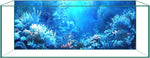 CICK SEED aquarium background front view showing vibrant blue ocean theme underwater scenery.