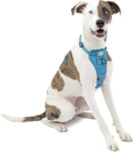Side view of Kurgo dog harness on large dog