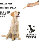 Project Hive dog dental treats showing the unique ridged exterior texture