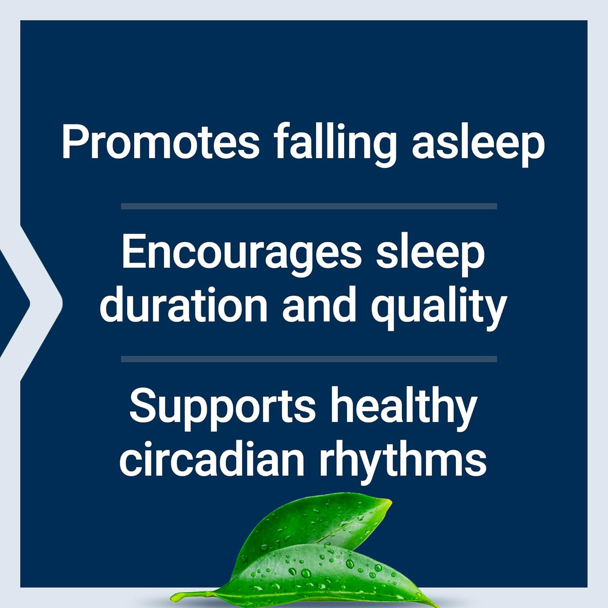 Life Extension Melatonin ingredients list and directions