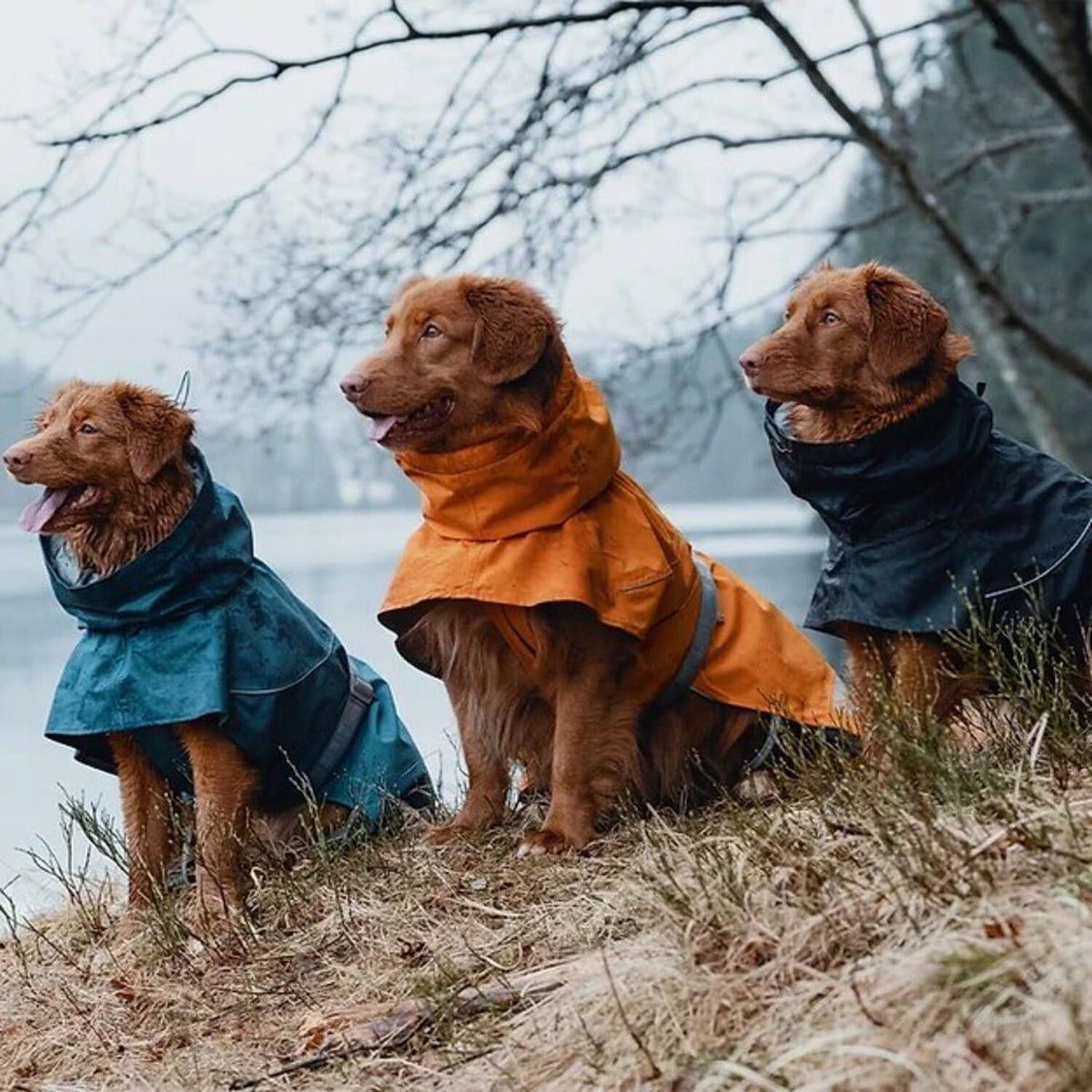 Hurtta Monsoon Coat closeable back harness opening