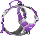 ThinkPet no pull breathable sport dog harness front view