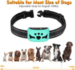 Waterproof BXQ training collar for large dogs