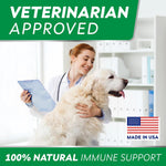 StrellaLab dog immune health support chews container on a clean background