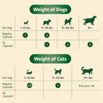 Ocu-GLO PB small breed dog and cat daily dosage instructions chart