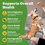 Probiotics for Dogs - Digestive & Gut Health for Sensitive Stomachs Dog Probiotics Powder for Skin & Coat, Breath and Immunity with 11 Strains, 4 Prebiotics, 5 Enzymes, Pumpkin, 60 Packets, Chicken - Image 9