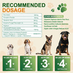 Daily dosage guidelines for NEXZL dog digestive support chews.