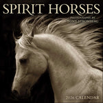 Spirit Horses 2026 Wall Calendar by Tony Stromberg - Image 1