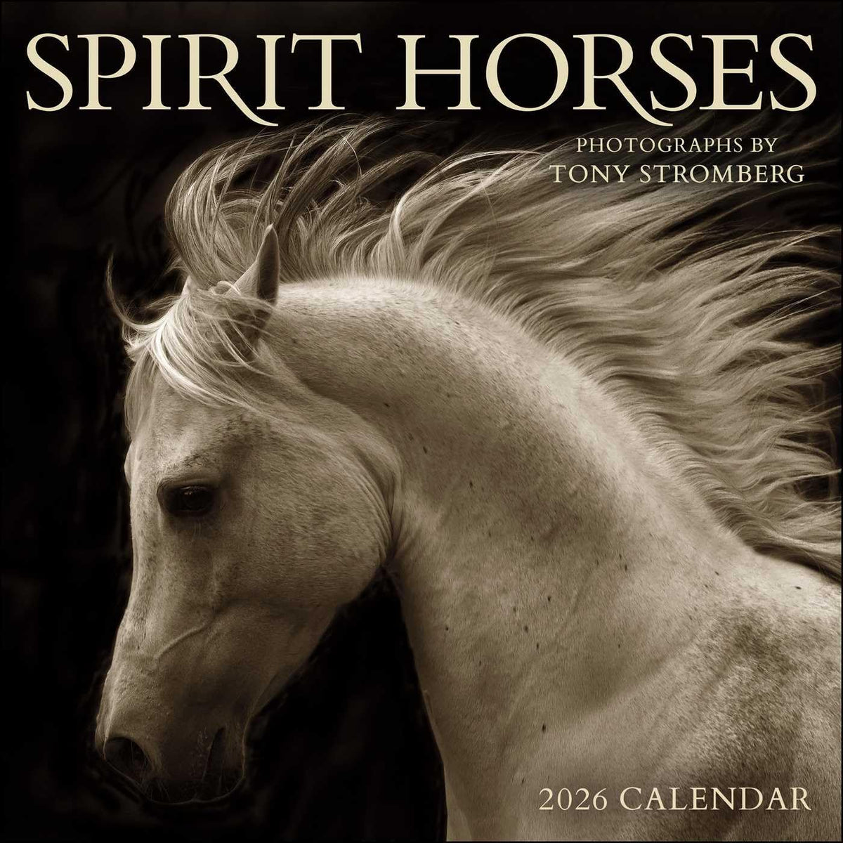Spirit Horses 2026 Wall Calendar by Tony Stromberg - Image 1