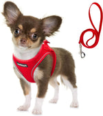 Fida Cat Harness and Leash Set for Walking Kitten and Puppy, Escape Proof Kitten Harness with Breathable Lightweight Soft Mesh, Adjustable Reflective Step-in Design. (XXXS, Green) - Image 14