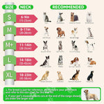 Dog wearing AThooDel inflatable recovery collar with clear shield