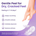 Bloomora exfoliating foot mask 6 pairs box layout