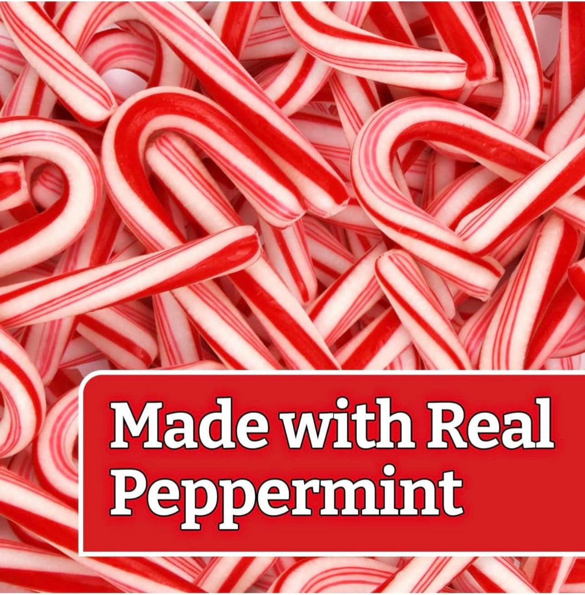 Kandyrifik mini candy canes close up view of the authentic USA imported festive snacks.