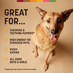 Earth Animal USA imported dog chew packaging details