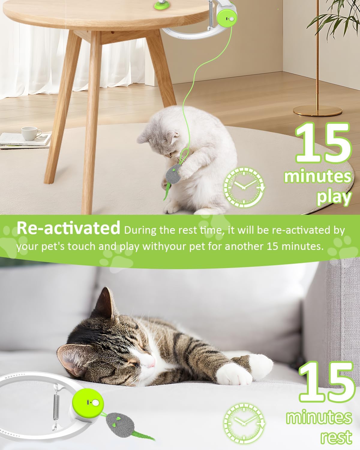 Bolpetizo indoor cat toy accessories and remote