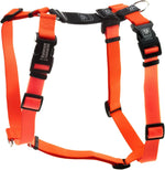 Blue-9 Buckle-Neck Balance Harness, Fully Customizable Fit No-Pull Harness, Ideal for Dog Training and Obedience, Made in The USA, Purple, Medium - Image 9