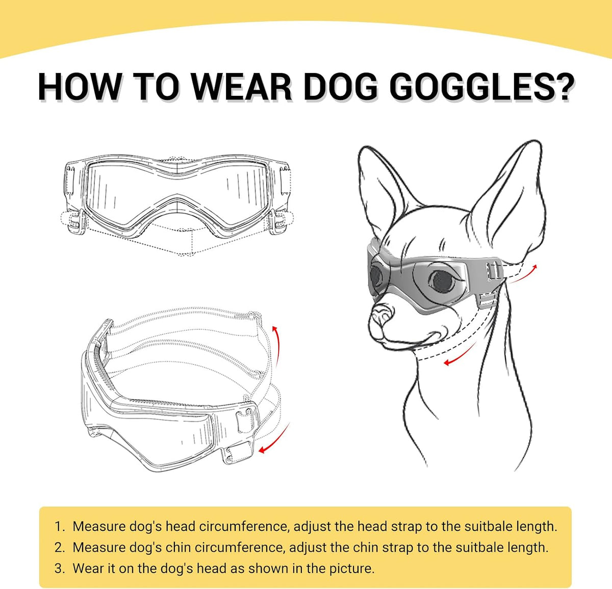 Small breed dog wearing black UV protection goggles outdoors