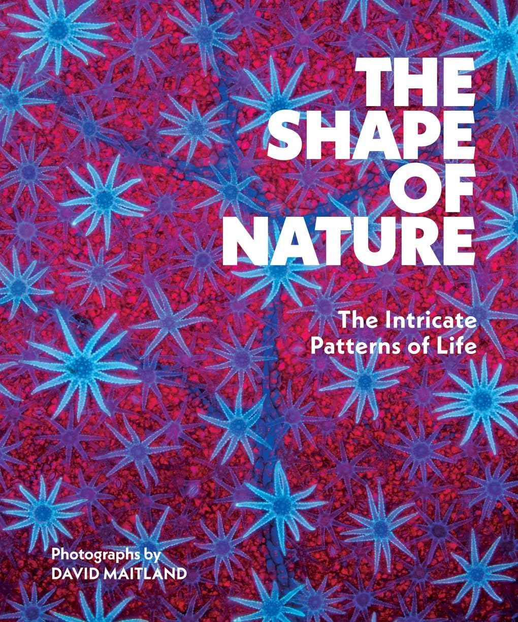 The Shape of Nature: The Intricate Patterns of Life - Image 1