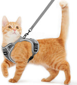 Secure double layered cat harness set for safe walking.
