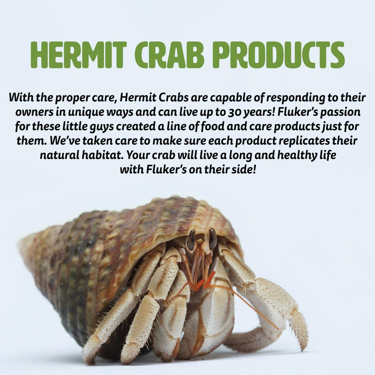 Fluker's high protein hermit crab dry food blend featuring dried river shrimp.