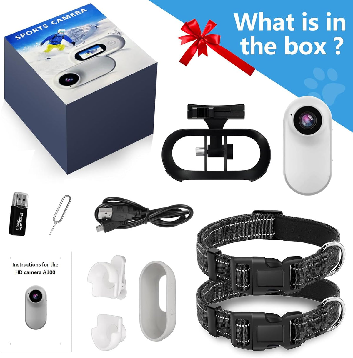 Pet wearing Ehomful HD camera collar outdoors