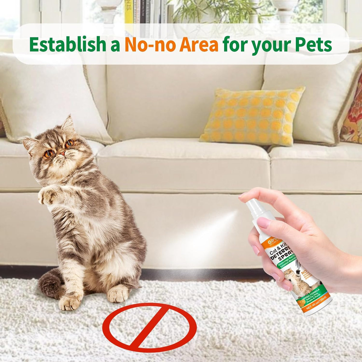Cat training spray bottle showing indoor furniture protection use
