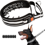 Mayerzon no pull dog collar packaging and included components