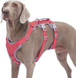 Huntboo Escape Proof Harness, No Slip Dog Harness Escape Proof, Fully Reflective Harness with Handle, Breathable, Durable, Adjustable Vest for Medium Dogs Walking and Training Gear (Black, M) - Image 13