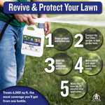 Pet-safe lawn treatment spray being applied to a green backyard